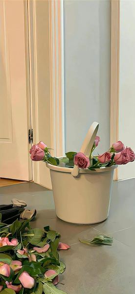 关于肠道健康与情绪的关系，一个真实故事改变了我的看法 —— 