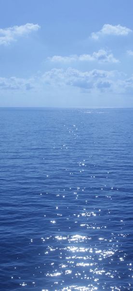 相亲认识的能有真感情吗背后的深层原因，终于说清楚了