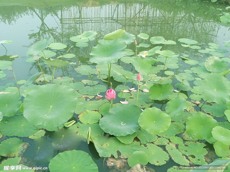 怎么找到自己的兴趣爱好？别急着下结论，先看完这篇