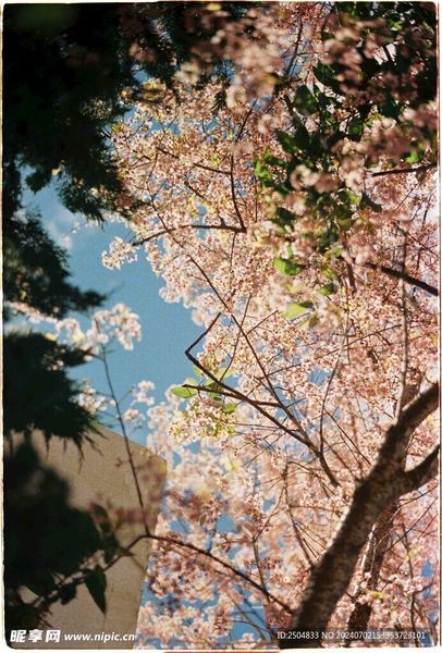 怎么从朋友变成恋人？先搞清楚这3个问题再做决定